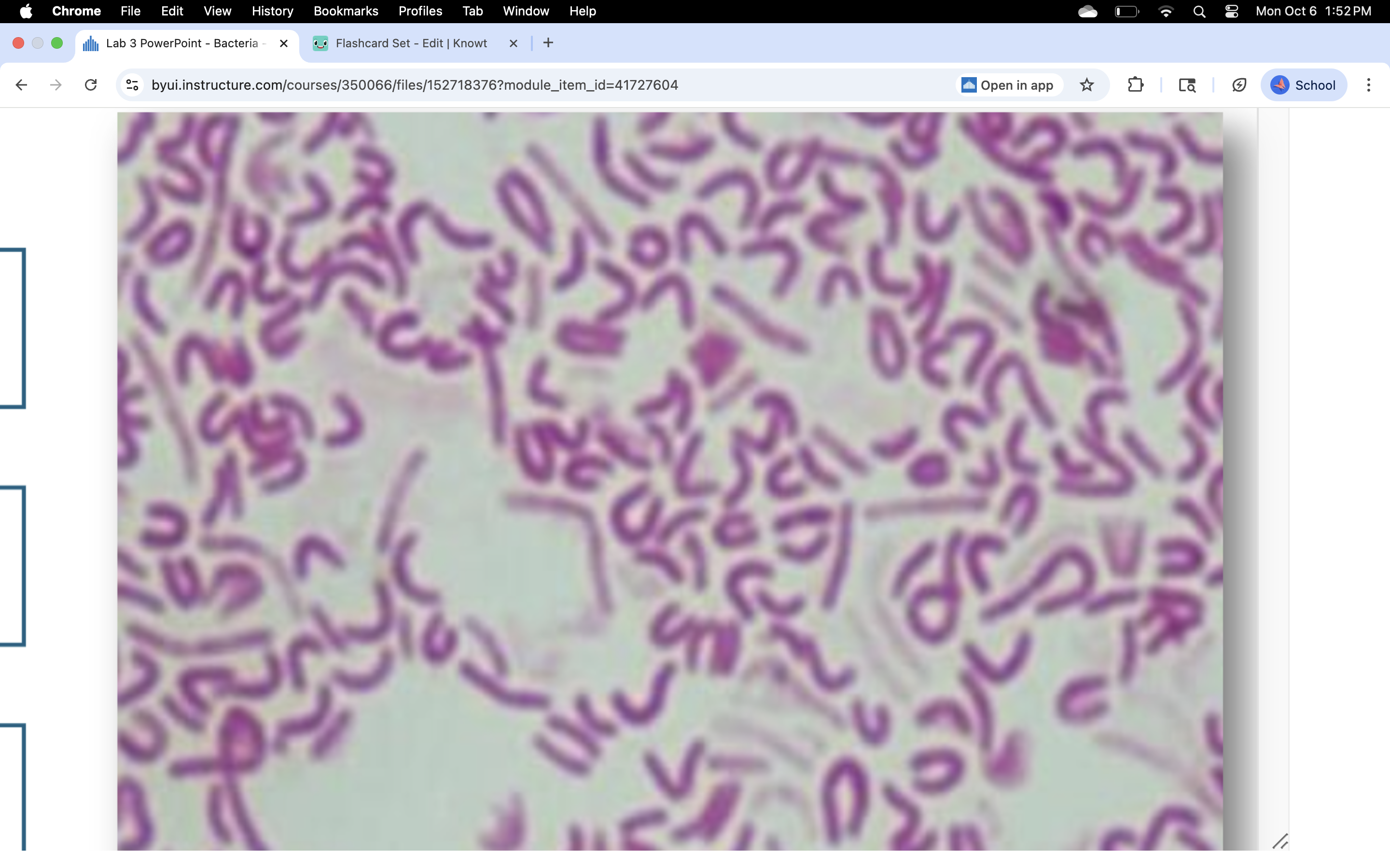 knowt flashcard image