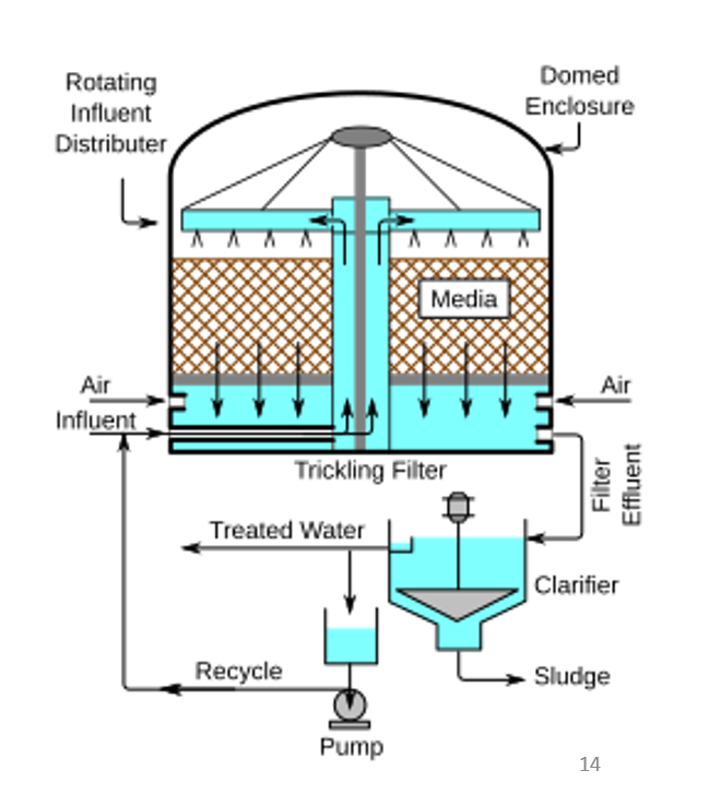 <p><span>✅</span> <strong>1. Wastewater enters at the top</strong></p><ul><li><p>The wastewater flows into a <strong>rotating influent distributor</strong>.</p></li><li><p>This rotating arm spreads wastewater evenly across the top of the filter.</p></li><li><p>Spreading is important so every part of the media gets equal contact.</p></li></ul><p></p><p><span>✅</span> <strong>2. Wastewater trickles down the media</strong></p><ul><li><p>The brown “media” layer is made of stones, gravel, plastic modules, or other high-surface-area materials.</p></li><li><p><strong>Microorganisms grow as a biofilm</strong> on the media surface.</p></li><li><p>As wastewater slowly trickles downward:</p><ul><li><p>organic pollutants adsorb onto the biofilm</p></li><li><p>microbes digest them into CO₂, water, and biomass</p></li></ul></li></ul><p></p><p>So the <strong>media doesn’t filter physically</strong> — it provides surface area for bacteria to attach and clean the water.</p><p><span>✅</span> <strong>3. Air circulation</strong></p><ul><li><p>The design allows <strong>natural air flow</strong> from vents.</p></li><li><p>Air supplies oxygen so microbes stay <strong>aerobic</strong>.</p></li><li><p>Oxygen is essential because the biofilm organisms require it to break down organic matter effectively.</p></li></ul><p></p><p><span>✅</span> <strong>4. Treated water collects at the bottom</strong></p><ul><li><p>After passing through the media, the partially treated water gathers below the filter.</p></li><li><p>This is called <strong>filter effluent</strong>.</p></li></ul><p></p><p><span>✅</span> <strong>5. Final settling in a Clarifier</strong></p><ul><li><p>The effluent flows into a <strong>secondary clarifier</strong>.</p></li><li><p>Any biological solids (sloughed-off biofilm) settle as <strong>sludge</strong>.</p></li><li><p>Sludge is pumped out for sludge treatment.</p></li></ul><p></p><p><span>✅</span> <strong>6. Recycle Loop</strong></p><ul><li><p>Part of the treated water is <strong>pumped back</strong> and sprayed again.</p></li><li><p>Recycling helps:<br><span>✅</span> keep the biofilm moist<br><span>✅</span> dilute incoming wastewater<br><span>✅</span> improve overall efficiency</p></li></ul><p></p>