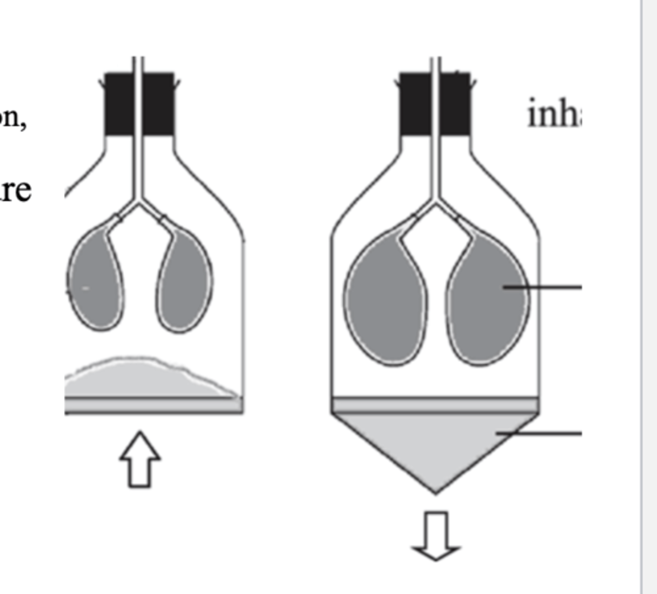 <p>applying negative pressure to the outside surface to suck it gainst the inner chest wall</p>