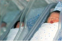 <p>(Kind) bekommen</p>