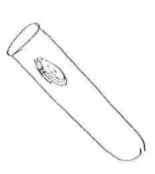 <p>holds small amounts of liquids</p>