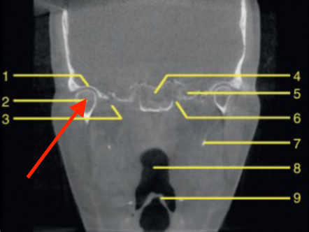 <p>identify structure </p>