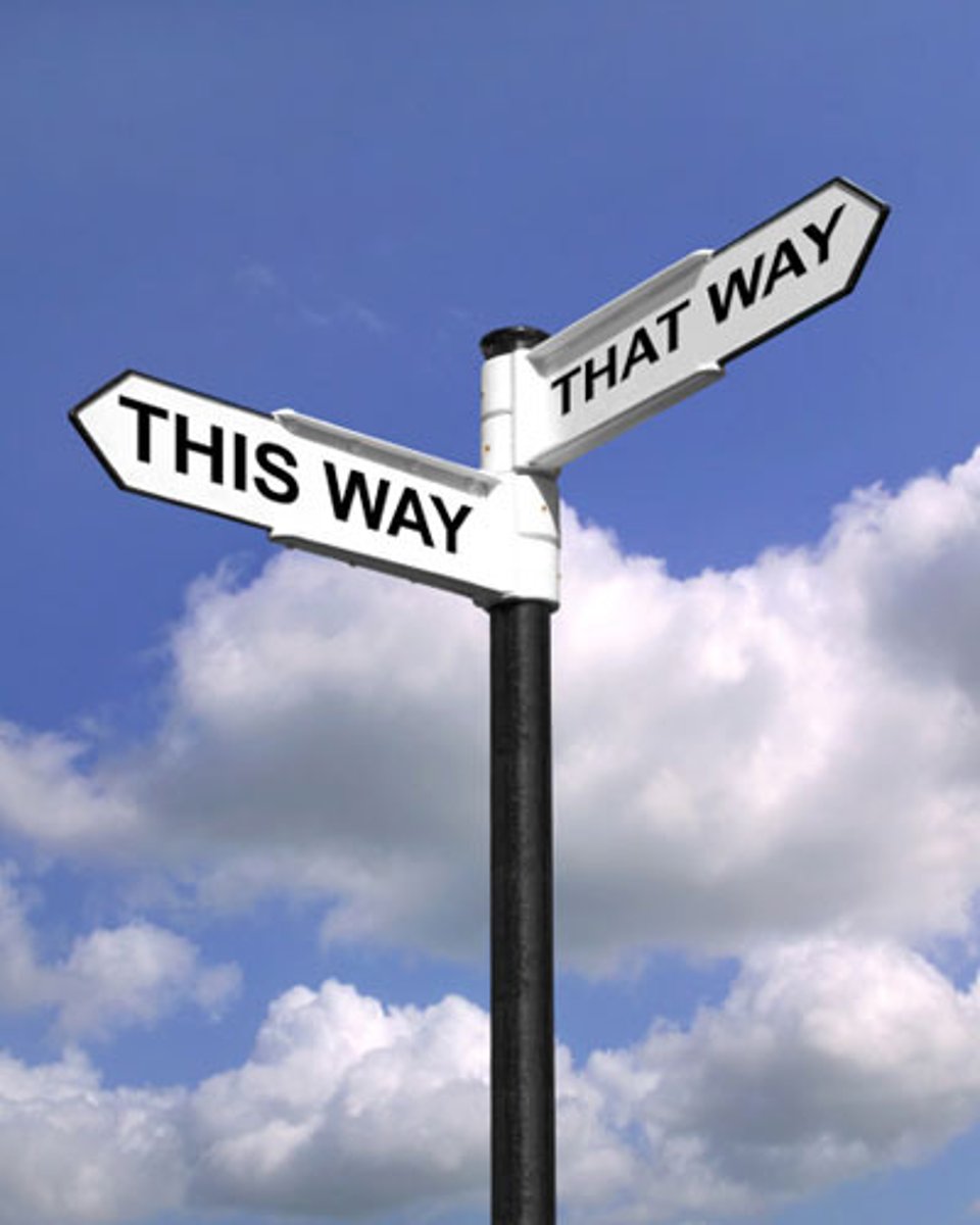<p>guidance</p>