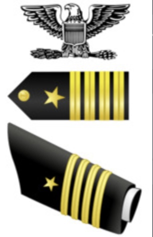<p>1 Silver spread eagle, [4] 1/2" Gold Stripes</p>