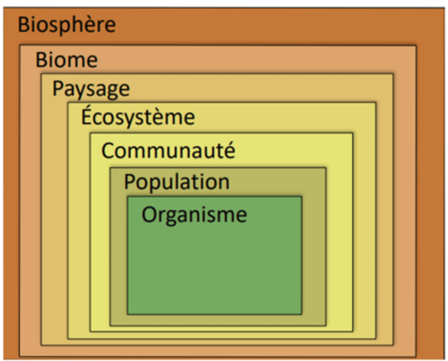 <p>Echelle spatiale : microscopique =&gt; Terre entière</p><p>Echelle temporelle : très courte =&gt; ères écologique</p>