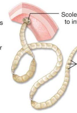 <p>What is the top arrow pointing at and showing?</p>