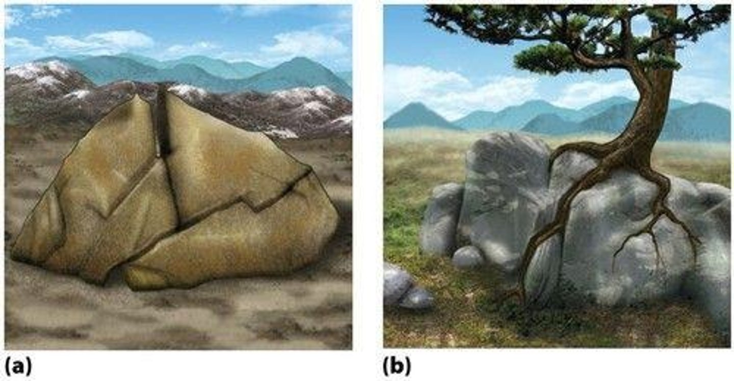 <p>Weathering is the breakdown of rocks, while erosion is the transport of weathered fragments.</p>