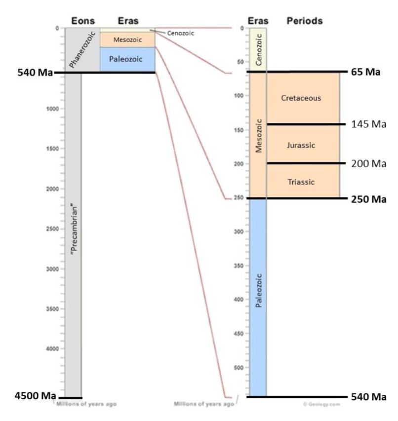<p>Precambrian (4500 Ma - 540 Ma) </p><p>Phanerozoic (540 Ma - Present):</p><ul><li><p>Paleozoic (540 Ma - 250 Ma)</p></li><li><p>Mesozoic (250 Ma - 65 Ma): </p></li><li><p>Cenozoic (65 Ma - Present)</p></li></ul><p>Mesozoic (250 Ma - 65 Ma):</p><ul><li><p>Triassic (250 Ma - 200 Ma)</p></li><li><p>Jurassic (200 Ma - 145 Ma)</p></li><li><p>Cretaceous (145 Ma - 65 Ma)</p></li></ul><p></p>