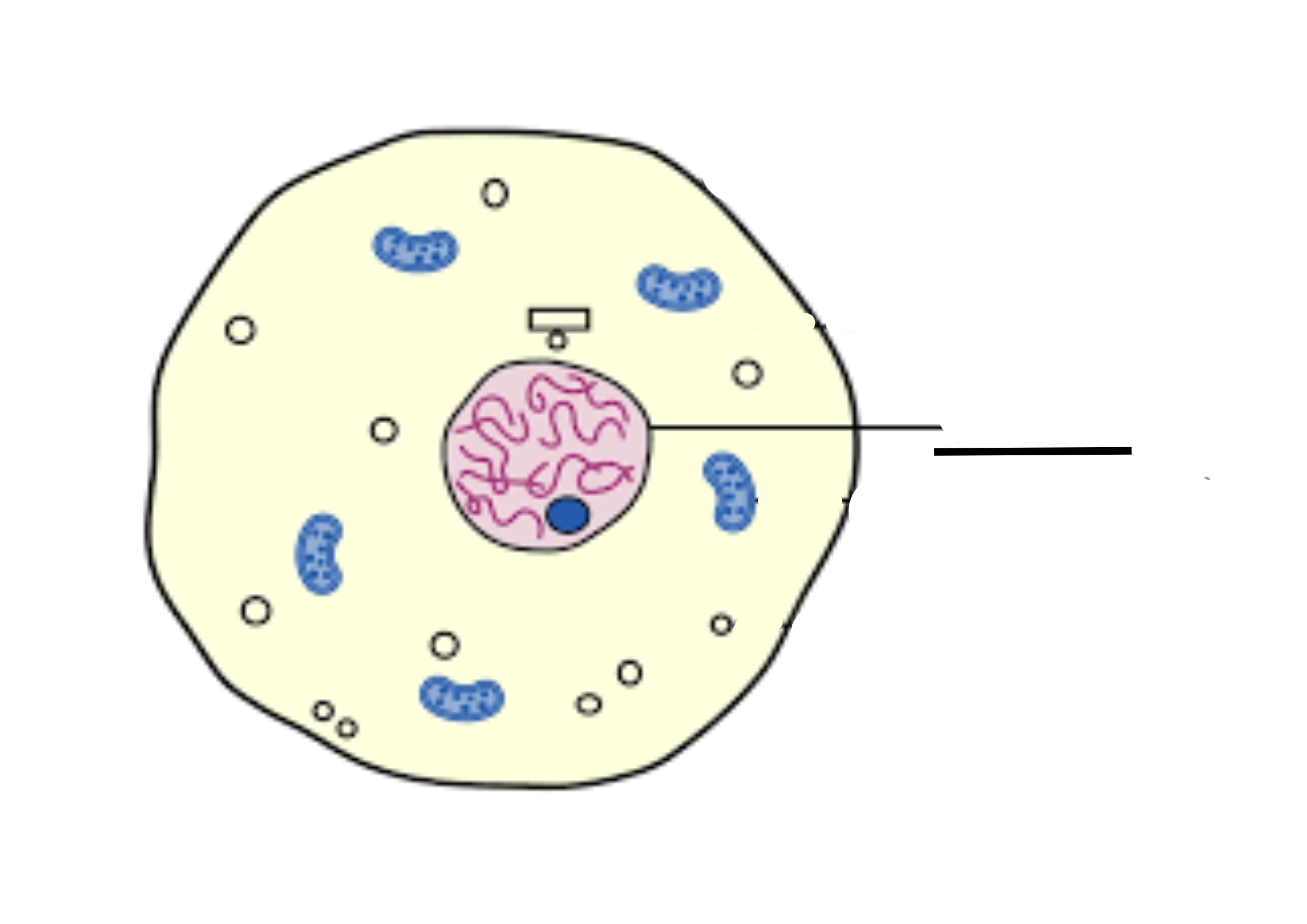 <p>What is this and its role</p>