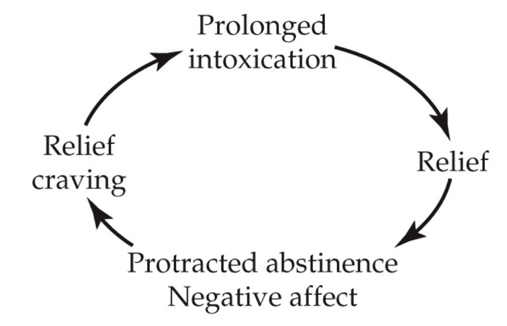 <p>What stage is this?</p>