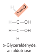 <p>structure in which the carbonyl group is at the end of the carbon chain (in the aldehyde group)</p>
