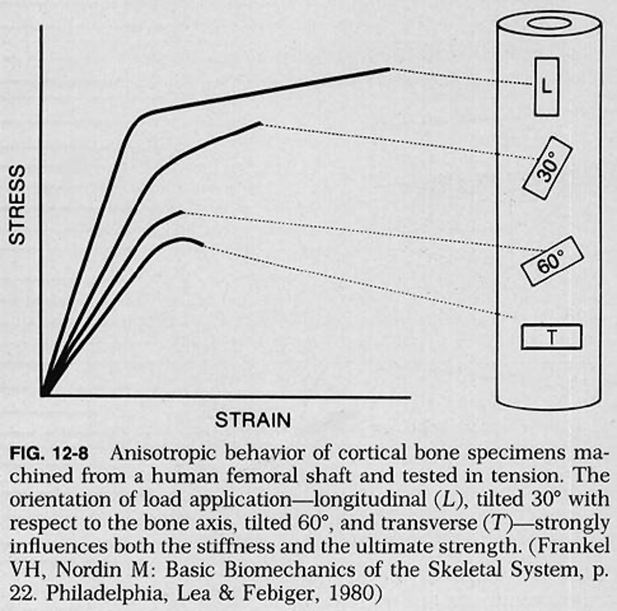 <p>Material has differing mechanical properties depending on how it is loaded.</p>