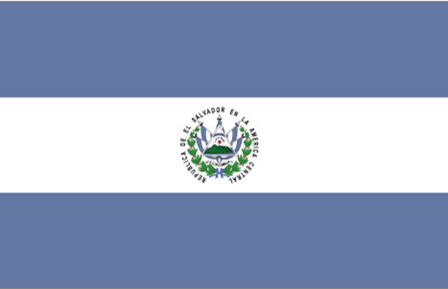 <p>This is the state flag flown on government buildings. The civil flag, flown by private citizens, omits the coat of arms. Both are official national flags.</p>