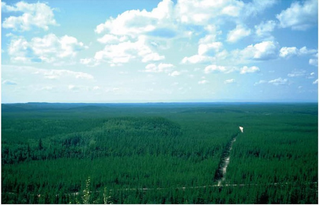 <p>These are ______________ which have formed at the top of _______ The flattened cloud tops are indicative of the presence of an _______</p>