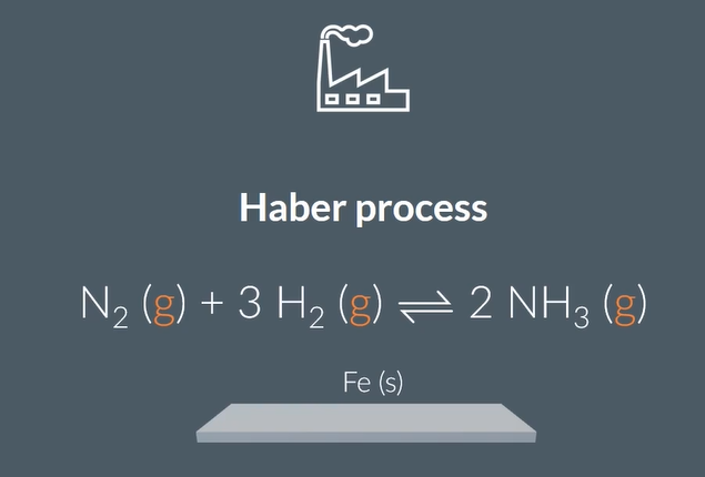 <p>an example of hetrogenous catalyst is in the ….. ……. using a ….. catalyst</p><p>an example of homogenous catalst is in the …… of ……. …… into Oxygen and water using ……. catalyst</p><p></p>