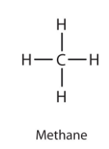 <p>1 Carbon</p>