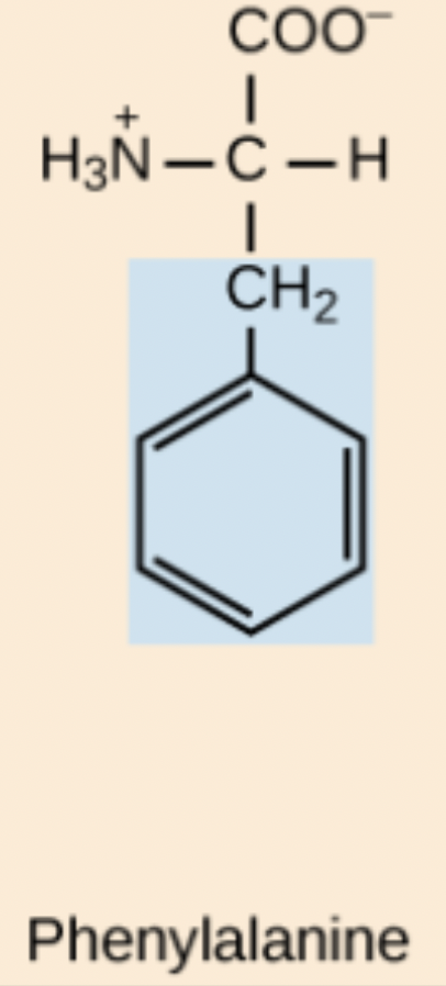 <p>Phe</p>