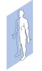 <p>sagittal plane</p>