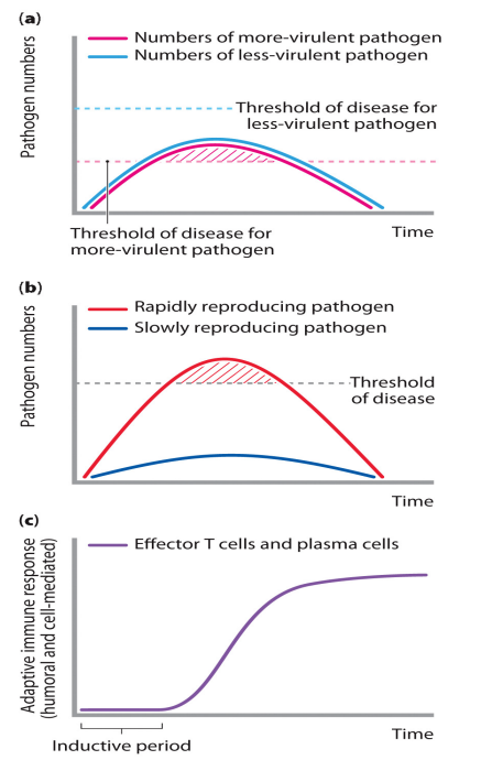 <p>Likelihood of disease</p>