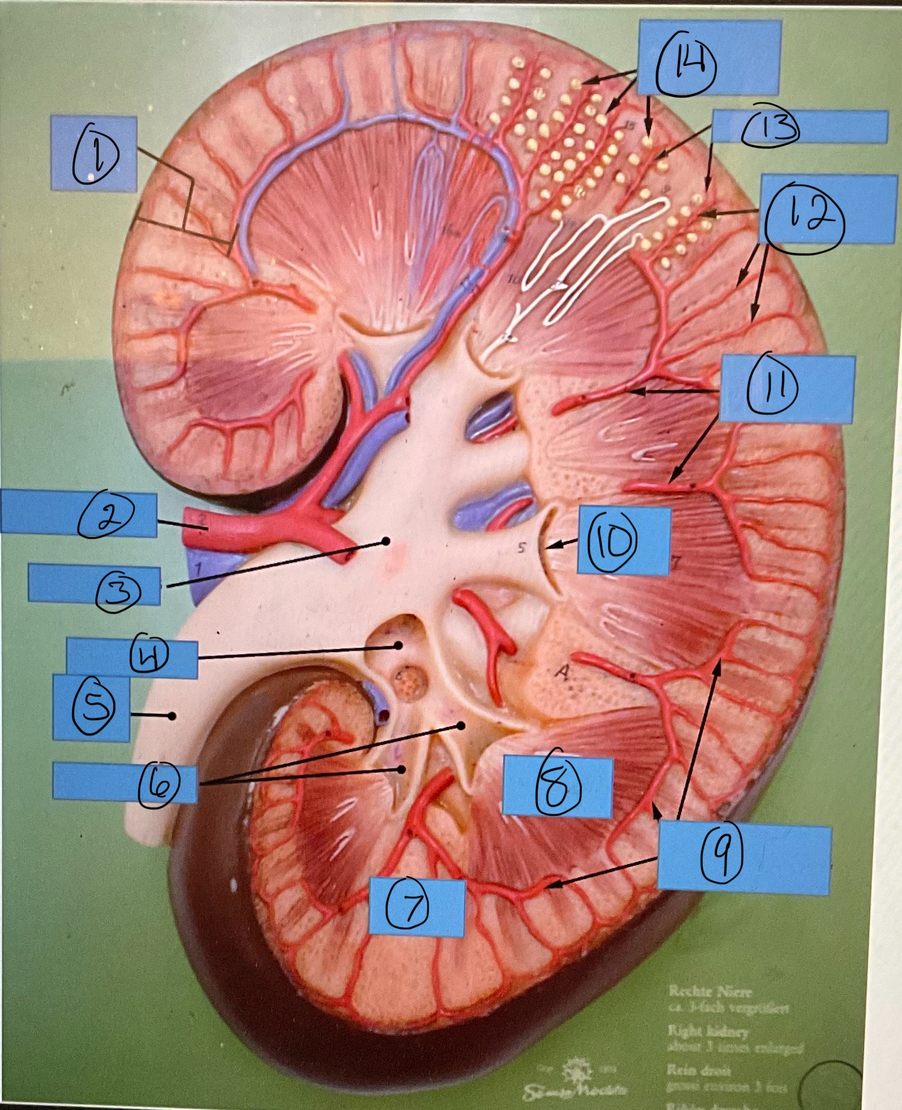 <p>What is 10?</p>