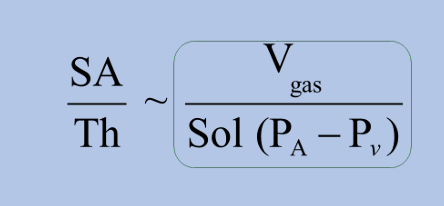 <p>-ratio of alveolar membrane surface area to its thickness is diffusion capacity</p><p>-higher diffusion capacity = greater ability to diffuse gas</p>