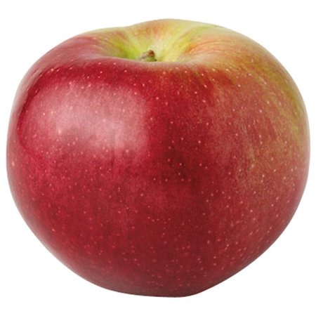 light colored skin, MEDIUM-FLAT-ROUND-SHORT-CONICAL SHAPES, deep red or red - yellow or green skin, sometimes waxy. There are stripes present and raised dots.