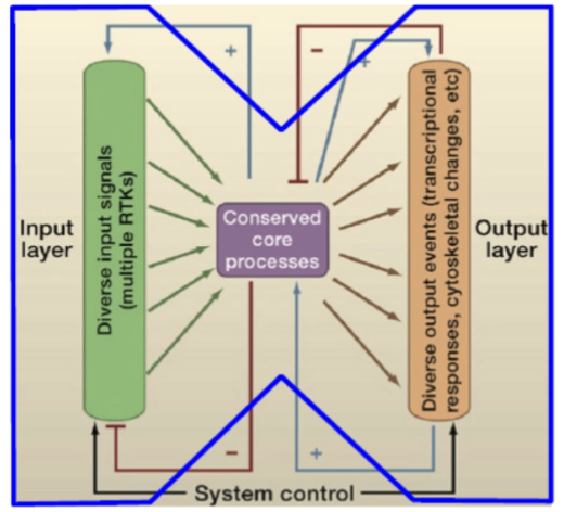 <p>breaks the system (cell signaling) down into: set of inputs, set of core processes, and set of outputs</p><p>the inputs and outputs are specific to a given situation, while the core processes are shared between different cells and pathways</p>