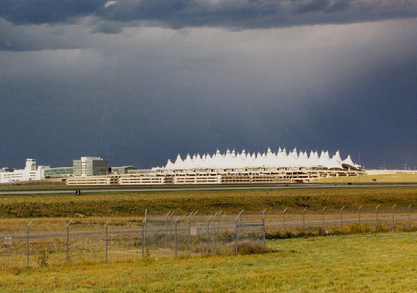 <p>international</p>