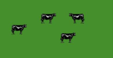 <p>What grazing system is this ?</p>