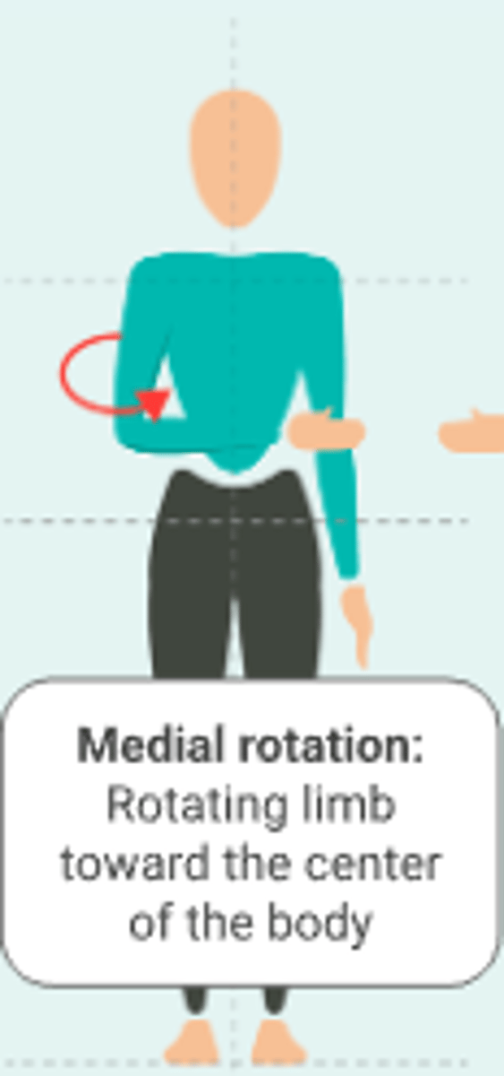 <p>Rotating limb towards the centre of the body</p>