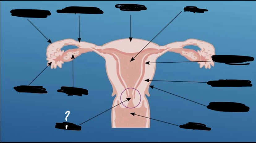What is the arrow pointing to?