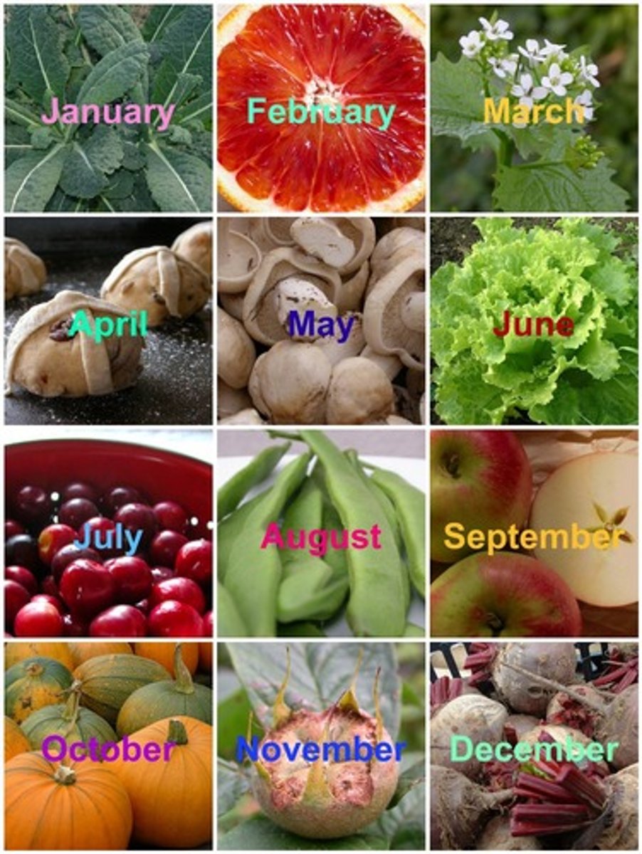 <p>The Seasons and the Months of the Year</p>