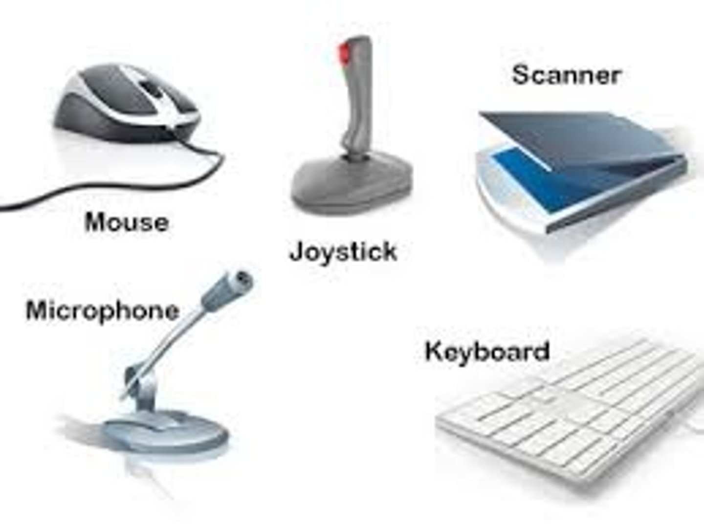 <p>Mouse, Keyboard, Monitor, Printer, RAM, Hard Drive, CPU, Motherboard</p>