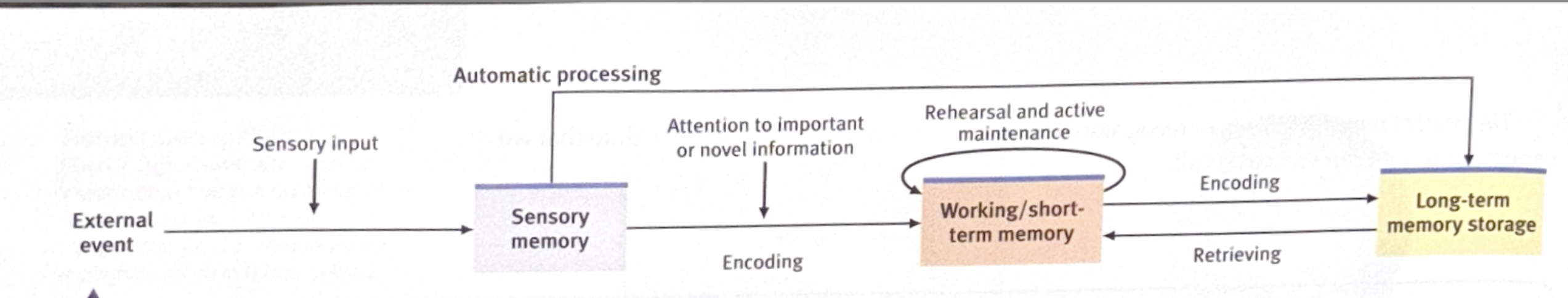 Levels of processing model <br /><br />