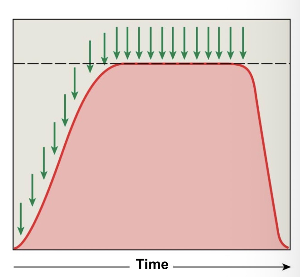 <p>Complete tetanus</p>