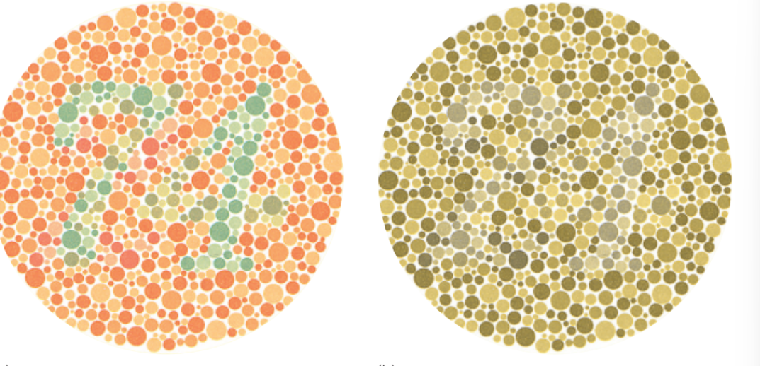 <p>a way to diagnose color deficiency</p><p></p>