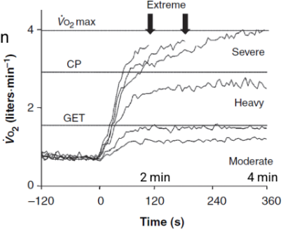 <p>• At severe/extreme intensities VO2 will climb until exhaustion even if the external power output remains constant</p><p>• Exercise at heavy and severe VO2 intensities is not very sustainable.</p><p>• Exercise at low and moderate VO2 intensities will be sustainable and physiological responses will be relatively stable</p>