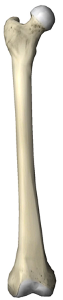 <p>right or left?</p>