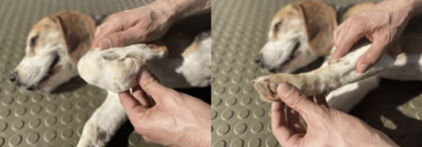 <p>what is happening here ?</p>