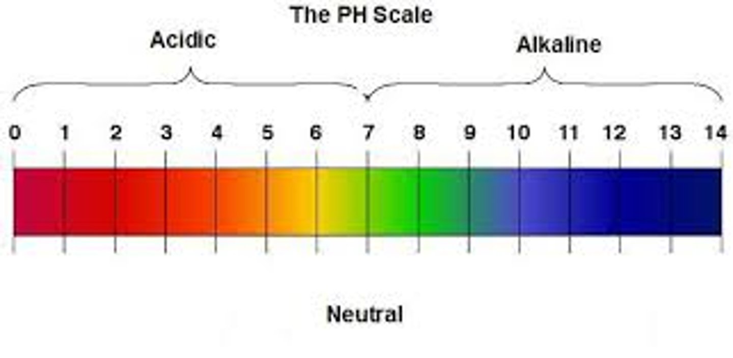 <p>A solution that controls and keeps the pH of a solution to a specific range</p>