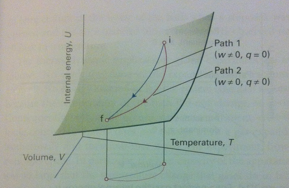 <p>The surface diagram with two different paths leading to the same point shows what about <strong>q and w</strong>?</p>