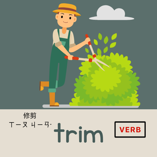 <p>trim</p>