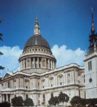 term image