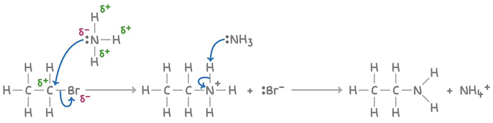 <p>Explain why the amine produced here can lead to the production of (C2H5)2NH and (C2H5)3N</p>