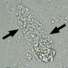 <p>What is this?</p>