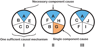 <p>Individual factors that contribute to the diseases make up the pie, called component causes, build up to make a full pie that might be a causal pathway, called a sufficient cause. A component that occurs in every pathway is known as a necessary cause</p>
