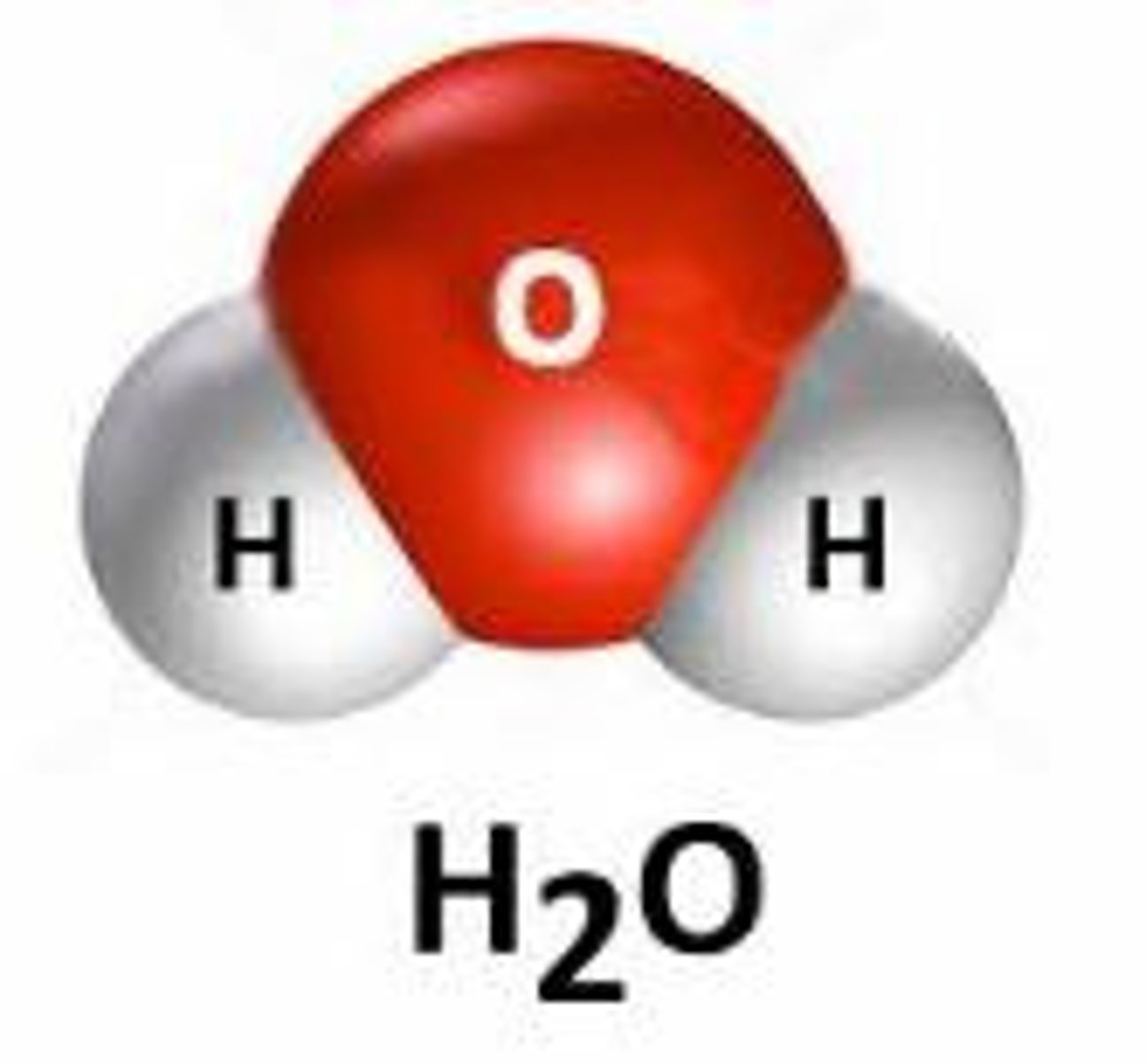 <p>Groups of two or more atoms held together by chemical bonds</p>