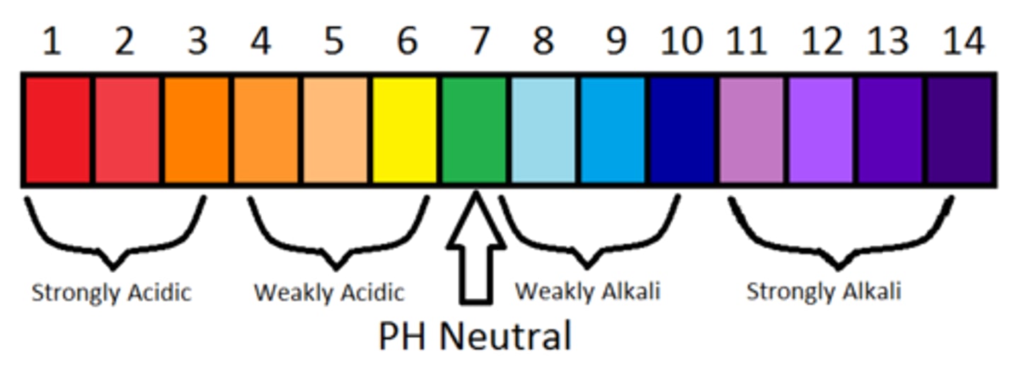 <p>As free (H+) increases, then pH decreases (acidity)</p><p>As free (H+) decreases, then pH increases (alkalinity, base)</p>