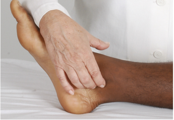 <p>Which pulse is the nurse assessing?</p>