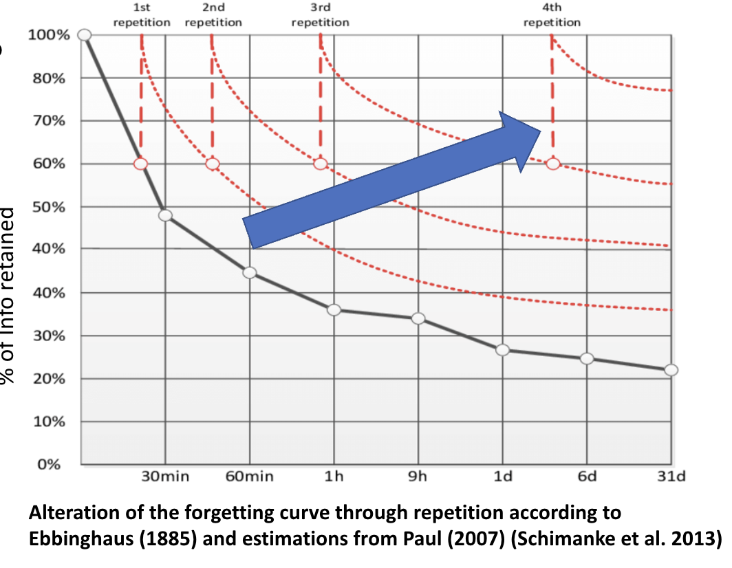 <ul><li><p>How do you ”flatten the curve”?</p></li><li><p>Study, study and study!</p></li><li><p>Mechanisms underlying forgetting?</p><ul><li><p>Interference vs. decay (as in STM)</p></li></ul></li></ul><p></p>